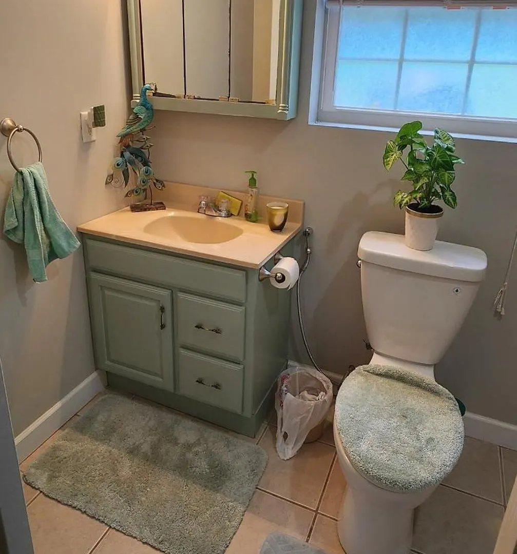 Quiet Retreat For Business Or Family Trip Apartment Charlotte